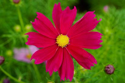 อุทัยธานี