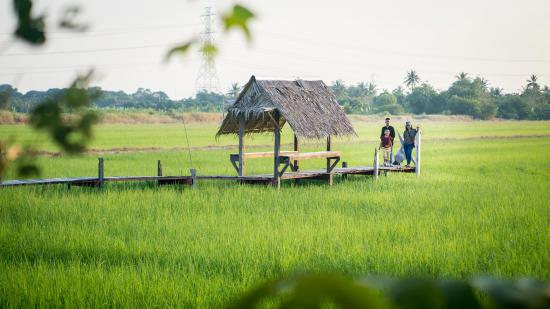 ปิ่นฟ้าฟาร์ม ?ฟาร์มสุขใกล้ๆ ที่ปทุมธานี