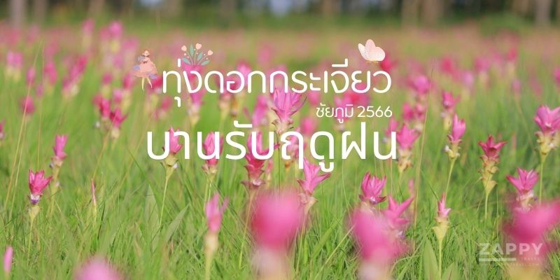 ชัยภูมิ