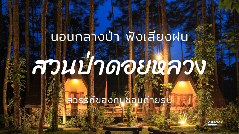 นอนกลางป่า ฟังเสียงฝน ที่สวนป่าดอยหลวง สวรรค์ของคนชอบถ่ายรูป