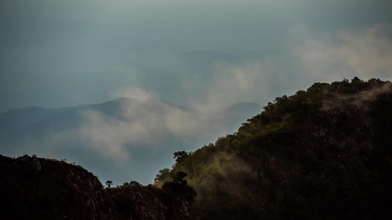 เลาะทิวเขาสัมผัสม่านหมอก ชมวิวยิ่งใหญ่อลังการที่ ดอยหลวงเชียงดาว